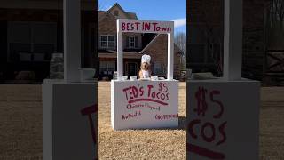 My dog started a taco stand [upl. by Abraham]