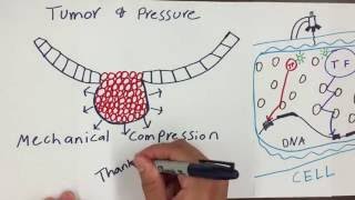 Macromolecular Crowding in Cells [upl. by Ginger869]