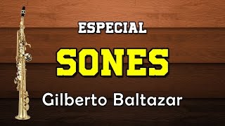 ESPECIAL SONES  Gilberto Baltazar  Toño el Globero San Miguelito Ofelia etc [upl. by Etteve54]