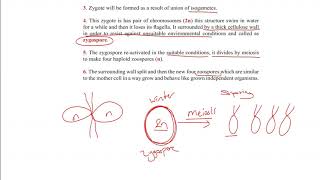 Reproduction in Protista [upl. by Alleyn]