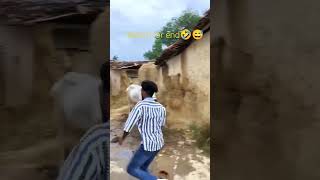 Happy Diwali 🤣😅  Comedy funny funny comedy shorts youtubeshorts reels [upl. by Froehlich964]