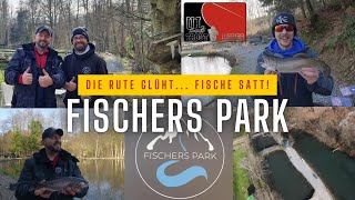 Fischers Park WermelskirchenDie Rute glüht [upl. by Ahrendt]