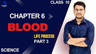 What is Blood  Life Process P 3 [upl. by Nura]