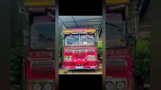 rosa mal kumari vip bus 😍😋trendingshorts viralvideo modified srilanka [upl. by Elaen124]