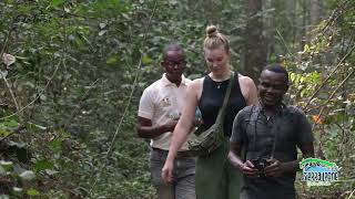 Gola Rainforest National Park  Sierra Leone National Tourist Board [upl. by Marvella885]