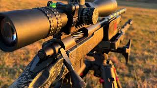 22 Creedmoor  Sub MOA Hornady Factory Ammo testing coyotes hunting 224 22creedmoor 22cm [upl. by Hniht481]