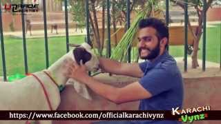 Things Not To Do On BAKRA EID By Karachi Vynz Official [upl. by Itoyj]