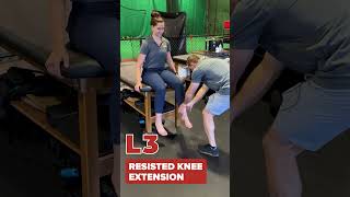 Myotome Testing Under 30 Seconds ⏱️ Lower Extremity [upl. by Jerrilee755]