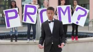 Asking Zendaya to Prom [upl. by Adaliah177]