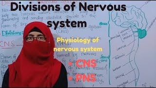 Overview of nervous system  divisions of nervous system  CNS  PNS  physiology of nervous system [upl. by Yer]