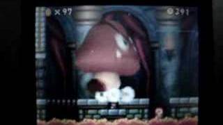 Mario bros unfair match  NSMB DS [upl. by Donovan]