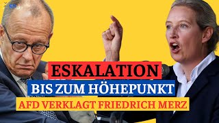 Politisches Erdbeben in Deutschland AfD verklagt CDU und Friedrich Merz – Zerbricht die Demokratie [upl. by Bogusz]