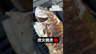 鯛の炭火焼きサウンドをお届けします🎵241012 真鯛 asmr 京都移住 古民家暮らし 炭火焼き [upl. by Vicky]