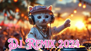 Dj Remix 2024 [upl. by Etteiluj]