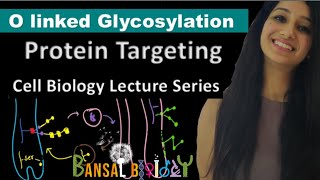 O Linked GlycosylationGolgi ApparatusProtein TargetingCell BiologyUnit IILife ScienceCsirnet [upl. by Hudgens]