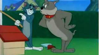 Tom and Jerry shortmp4 [upl. by Hamaso]