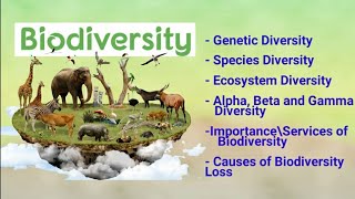 biodiversity its types alpha beta gamma diversity importance amp loss of biodiversity [upl. by Attelahs550]