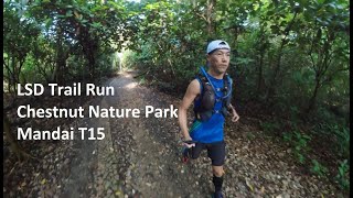 30km Trail Run  Chestnut Nature Park  Mandai T15 Trail [upl. by Hernando]