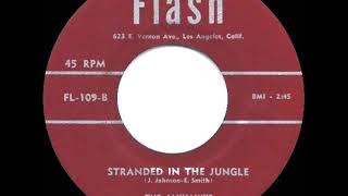 1956 HITS ARCHIVE Stranded In The Jungle  Jayhawks [upl. by Eelynnhoj]