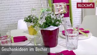 Geschenkideen im Becher  DIY Sommerdeko  summer decoration  BLOOM’s Floristik [upl. by Lamiv]