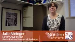 Gurdon Institute  Meet Julie Ahringer [upl. by Raouf597]