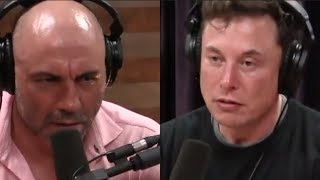 Joe Rogan  What Keeps Elon Musk Up at Night [upl. by Natfa]