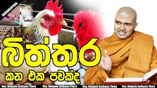 බිත්තර කන එක පවක්ද VenWalpola Gothama Thero [upl. by Lazaruk]