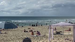 Noosa surf [upl. by Eirotal]