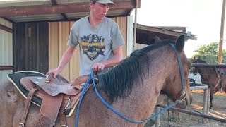 Horse Training  First Ride First Mount [upl. by Eolanda]