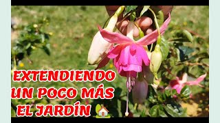 EXTENDIENDO EL JARDÍN 🏡☺️ UN POCO MÁS 💚🌵🏡🇪🇨 Plantitas Consuelo [upl. by Randal]