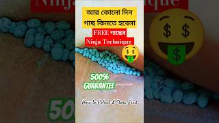 আর কোনোদিনও গাছ কিনতে হবেনা seedscollectseedsvegetablegardenfreegrowbaggardeninggardenupdiy [upl. by Avrom51]