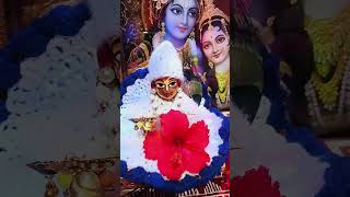 Mere kanhaiya 🙏shortsvideo laddugopal shortfeed tendingvidio newreels [upl. by Edyak]