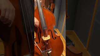 Contrabass Performance in the Studio 🎻 Contrabass MusicCreation BehindTheScenes [upl. by Emile]