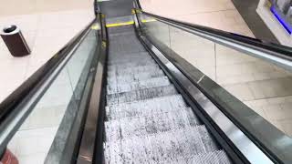 Schindler escalators near Macy’s Lakeline Mall in Austin TX￼￼￼ [upl. by Elleirol]