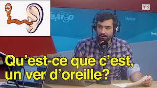 Questce quun VER DOREILLE dans le cerveau [upl. by Ervin]