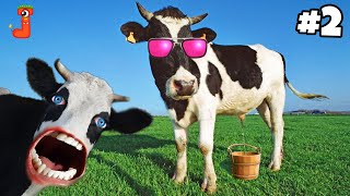 FUNNY COW DANCE FOR GANGAM STYLE 2  Cow Song amp Cow Videos 2024  Funny Cow dance  gaiya  gai [upl. by Hooker]