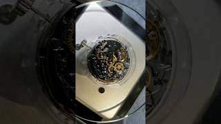 Seagull Ty2901St1901Ty2903St1903 Chronograph Movement Brand New [upl. by Olney]