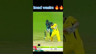 Imad Wasim destroyed Australia batting Lineup  Pakistan vs Australia pakvsaus cricket [upl. by Terrye566]