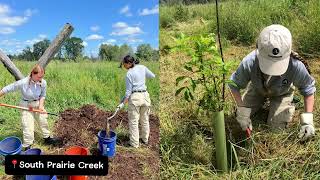 Pierce Conservation District – Puyallup WA – June 24 to August 2 2024 [upl. by Namie789]