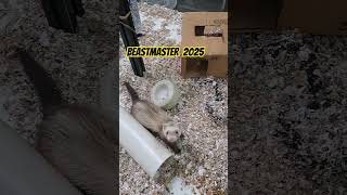 BEASTMASTER 2025 THE FINAL CUT entertainment animals [upl. by Goulden125]