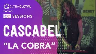 Cascabel  La Cobra  CC SESSIONS  Cultura Colectiva [upl. by Elyrpa368]