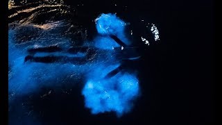 Swimming in a GLOWING OCEAN  Incredible Bioluminescence [upl. by Ylrrad]