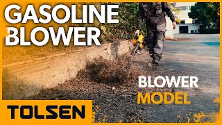 TOLSEN® Gas Powered Leaf Blower Gasoline Blower with Nozzle 79628 [upl. by Ring]