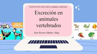 La excreción en animales vertebrados [upl. by Rubi]