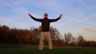 Wudang Qigong Shiba Fa exercises 1 through 10 [upl. by Peder]