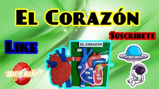 Como hacer una Maqueta del Corazón│Maqueta del Corazón [upl. by Dronski]