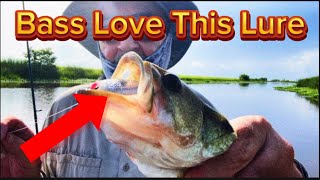 Catching BASS in the Bayou Marsh And Camera Failure [upl. by Shotton]