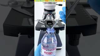 Evian Mineral water under the Microscope 🔬 short shortfeed microscope [upl. by Norbert412]