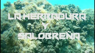 Snorkel  La Herradura amp Salobreña 🇪🇸 [upl. by Launam]