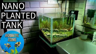 Nano Aquascape  Nano Planted Aquarium  aquaticzone plantedtank [upl. by Ecnaiva]